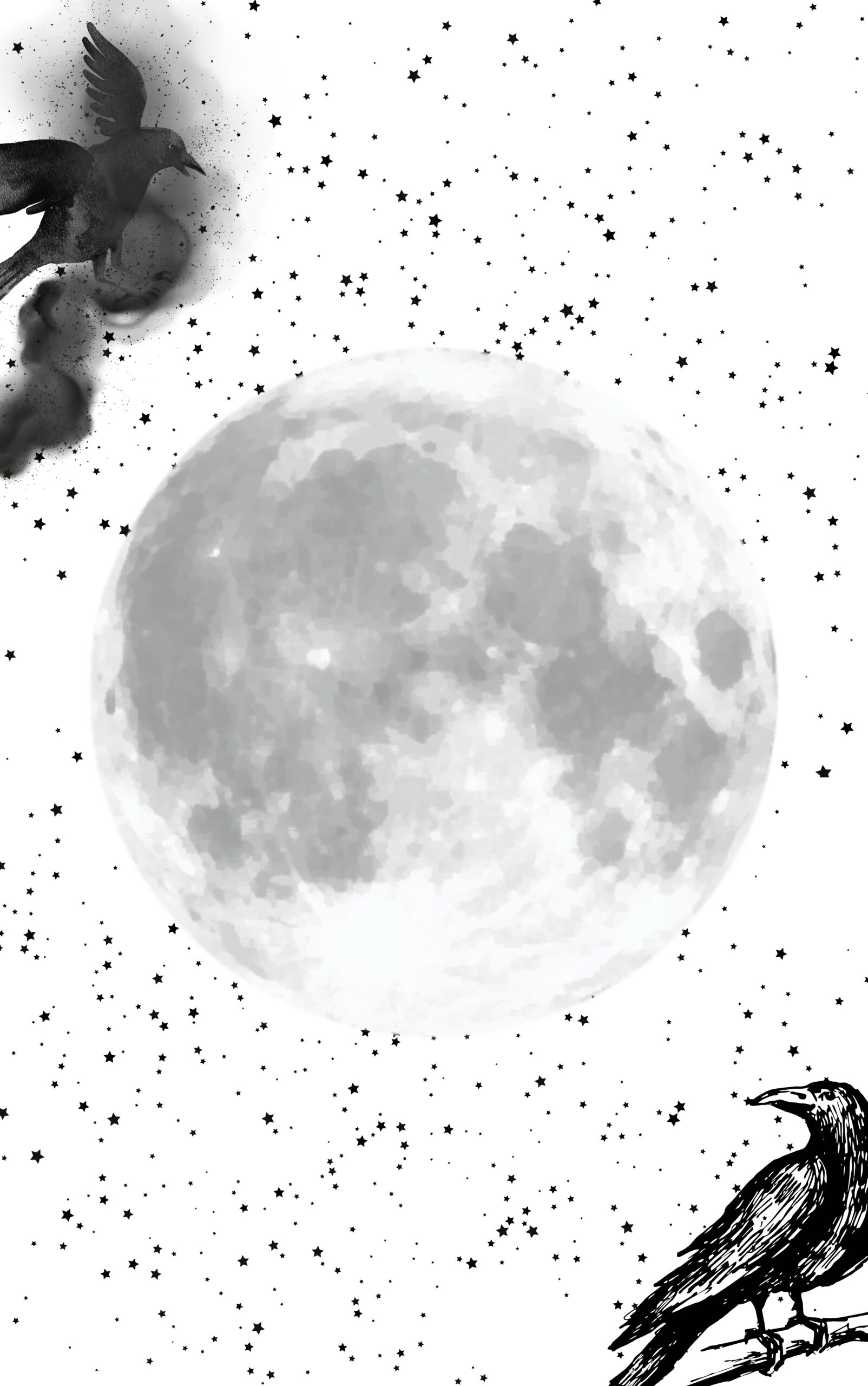 Two Black Birds - Image 3